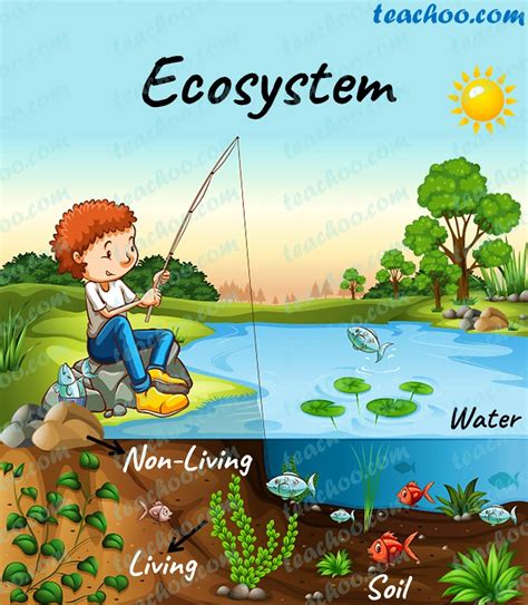 Ecosystems .